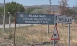 Bu köyün ismiyle başı dertte: Deliler köyü