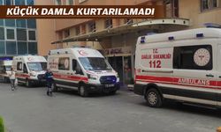 AV TÜFEĞİ CAN ALDI
