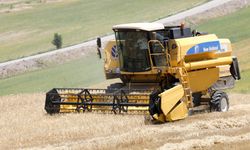“Buğdayın maliyeti geçen yıla göre yüzde 62 arttı”