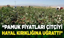 “Pamuk fiyatları çitçiyi hayal kırıklığına uğrattı”