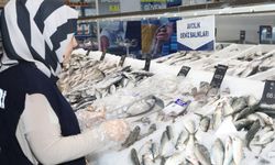 Diyarbakır’da balık satış yerleri denetlendi