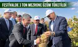 “3 TON TADIMLIK ÜZÜM İKRAM EDİLDİ”