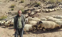 Yayla sezonunu kapatan göçerler, 2 ay süren yolculuğa başladı