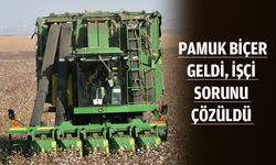 İşçi sorununa ‘pamuk biçer’ çözümü
