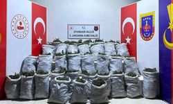 10 bin kök kenevir ve 202 kilo esrar ele geçirildi