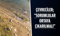BİNLERCE BALIK TELEF OLDU!