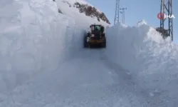 Yüksekova’da 4 metreyi bulan kar tünelleri