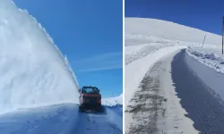 Van’da karla mücadele çalışmaları