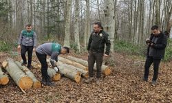 Orman Genel Müdürlüğü 68 Daimi İşçi Alacak