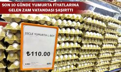 YUMURTAYA ZAM ÜSTÜNE ZAM!