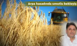 ARPADA FİYAT ENDİŞESİ