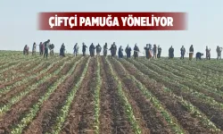 BATMANLI ÇİFTÇİ PAMUĞA YÖNELDİ