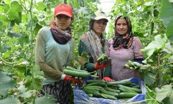 Kadın çiftçiler üretmeye devam ediyor
