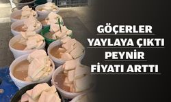 GÖÇERLER YAYLAYA ÇIKTI, PEYNİR FİYATI ARTTI