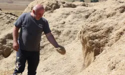 Hasatla birlikte saman fiyatları dip yaptı