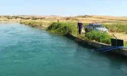 Sulama kanalında kaybolan çobanı arama çalışmaları 7. gününde