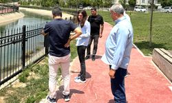Sönük, yürüyüş yolundaydı