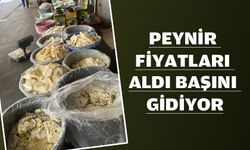 PEYNİR FİYATLARI ARTIŞTA
