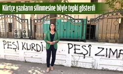 Valilik duvarına “Pêşî Kurdî Pêşi Ziman” yazdı!