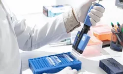 Genetik farklılıklar aynı hastalığın tedavisinde sonucu değiştirebiliyor