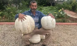 Hobi olarak evinin bahçesine kabak ekti, 500 kilo hasat yaptı