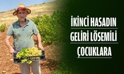 İKİNCİ HASADIN GELİRİ LÖSEMİLİ ÇOCUKLARA
