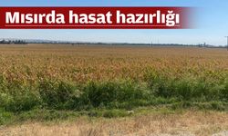 “ÜRETİCİ FİYATTA MAĞDUR EDİLMEMELİ”