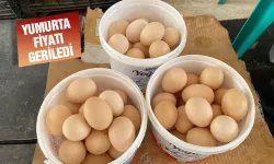 Yaz mevsiminde yumurta fiyatları düştü