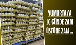 BU NEYİN ZAMMI?