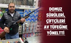 DOMUZLARA KARŞI SİLAHLANDILAR