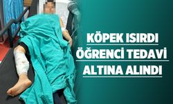 Köpek ısırdı, öğrenci tedavi altına alındı