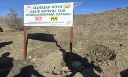 KÖYLER AĞAÇLANDIRILIYOR