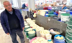 Kış mevsiminde peynir fiyatı el yakıyor