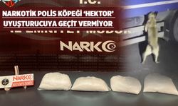 NARKOTİK KÖPEK UYUŞTURUCUYU BULDU