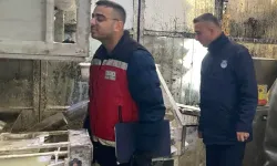 Ekmek fabrikalarına denetim