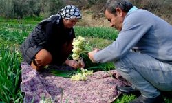 Hobi olarak başladı geçim kaynağı oldu