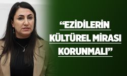 Ezidilerin sorunlarını Meclis’e taşıdı