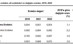 Beşeri kalkınma endeksi 2022 yılında 0,854 oldu