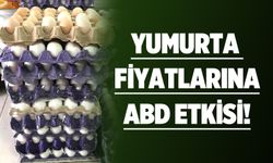 KOLİSİ 200 TL’YE DAYANDI