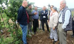 Batman’da böğürtlen yetiştiriciliğine ilgi artıyor
