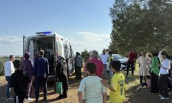 Direksiyon eğitimi sırasında yürüyüş yapan çifte ve ağaca çarptı