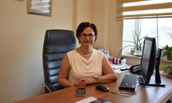 Sivrisinek ısırığı ile gelen tehlike