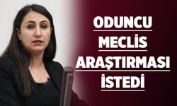 Oduncu, Meclis araştırması istedi