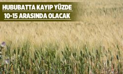 Hububatta verim azalacak