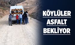 KALE YOLU ÇİLE DOLU!