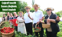 SASON ÇİLEĞİ DÜNYAYA AÇILACAK