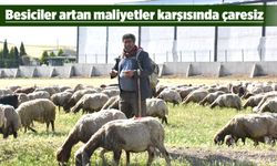 KURBANLIKLAR EL YAKIYOR