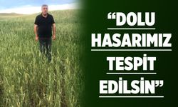 Bir yıllık emek doluya teslim