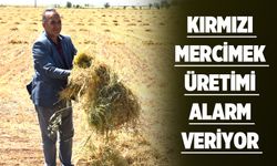 KIRMIZI MERCİMEK ÜRETİMİ ALARM VERİYOR