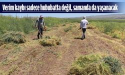 SAMAN SIKINTISI KAPIDA